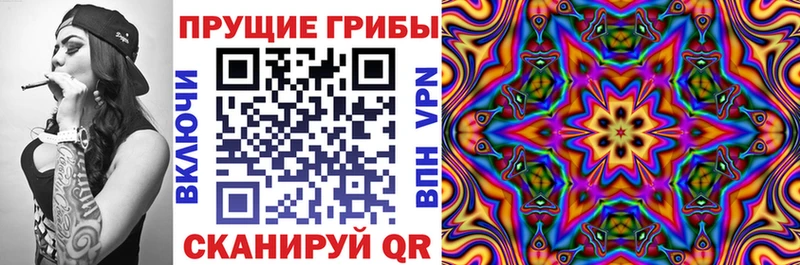 наркошоп  Удачный  Псилоцибиновые грибы Psilocybe 